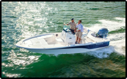 Viper 20
